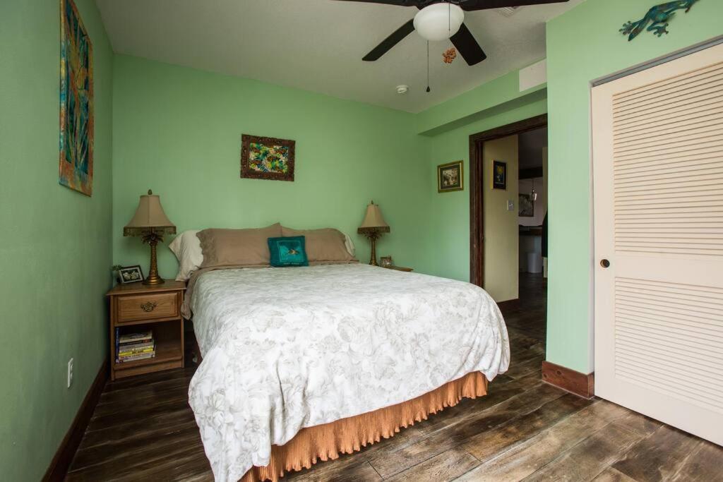 Big Easy Charmer License #23-Ostr-12410 New Orleans Exterior foto